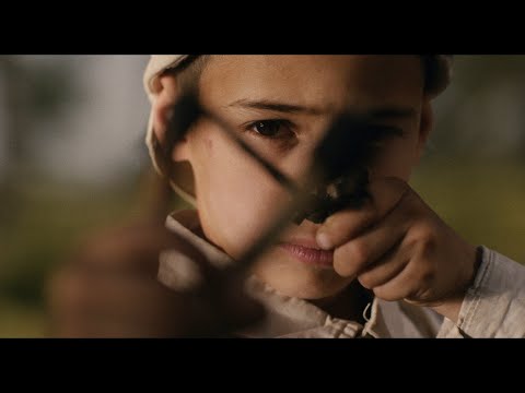 Vidéo Youtube