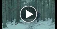Vidéo vimeo