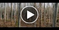 Vidéo vimeo
