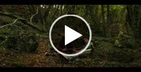 Vidéo vimeo